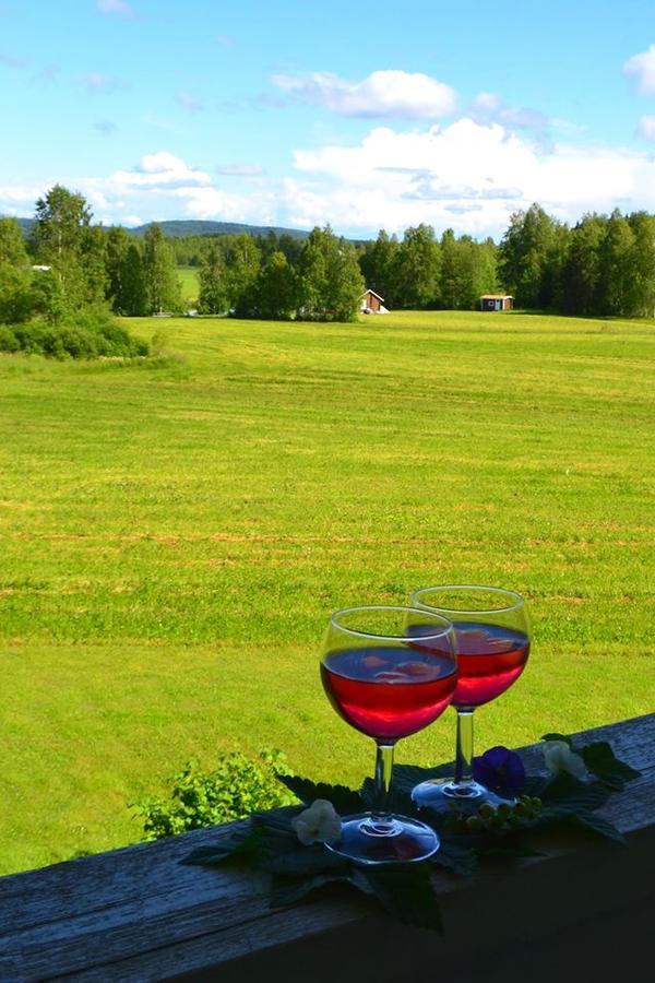 Laitalan Lomat Villa Karhunpaa Buitenkant foto